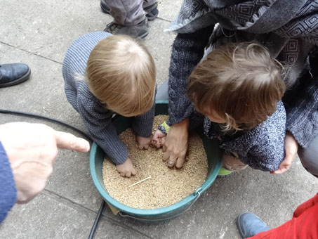 les grains de blé, plaisir des petits doigts !